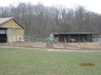 2014.03.15 - Possenlauf in Sondershausen-39